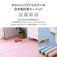 【玄関渡し】 萩原 パステルカラーの日本製抗菌カーペット　ファーレ　 江戸間 4.5畳  グリーン 261×261cm（直送品）
