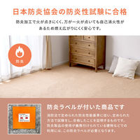 萩原 防炎加工の平織カーペット モーエン 江戸間4.5畳 グレー 600092745 1枚