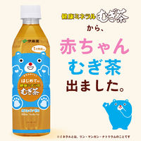 伊藤園 はじめての健康ミネラルむぎ茶 500ml 1箱（24本入）【麦茶】