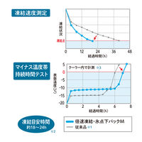 倍速凍結 氷点下パック ソフトL 81660646 1個 LOGOS/ロゴス