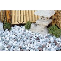 昭光物産 【パレット車上渡し・フォークリフトのご用意必須】彩三色 10kg (20袋) 4981447010578 1セット(20袋)（直送品）