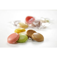 〈ダロワイヨ〉マカロンラスク（18枚入） 1箱 三越伊勢丹 紙袋付 手土産ギフト ギフト 敬老の日