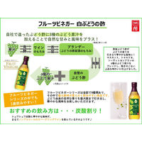 内堀醸造 フルーツビネガー白ぶどうの酢 360ml 3本