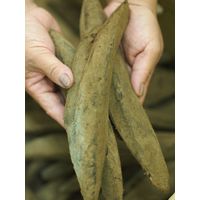 内堀醸造 美濃特選味付ぽん酢 360ml 3本