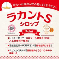 サラヤ ラカントS シロップ 280g 1個 ＜植物由来甘味料 カロリー＆糖類0ゼロ＞