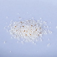 トーラス 歯みがきラクヤー 愛猫用 25g 1個 オシャレ猫 食べる歯みがき