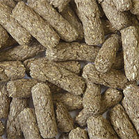 チンチラプラス・ダイエットメンテナンス 国産 800g チンチラフード 三晃商会