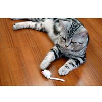 キャティーマン じゃれ猫 ベビーマウス 5個入り 猫用 おもちゃ ねずみ