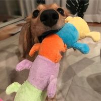 キャタピー 犬用 1個 犬 おもちゃ ぬいぐるみ プラッツ