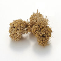 ミニマルランド おててにもってたべるあわ玉 40g 2袋 ハムスターフード マルカン