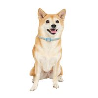 薬用 ノミ取り首輪+蚊よけ 中型・大型犬用 効果6ヵ月 3個 ドギーマン