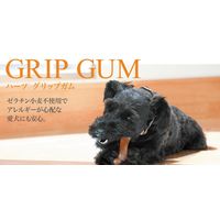 Hartz（ハーツ）グリップガム 中～大型犬用 2本入 1袋 ドッグフード 犬 おやつ デンタルケア
