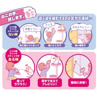 【ワゴンセール】ドギーマン じゃれ猫 ファンタスティック スマホでねこ撮りじゃらし棒 1個 猫 おもちゃ