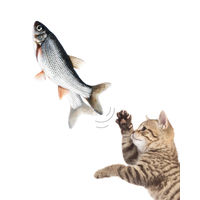 ダンシングフィッシュ 猫用 おもちゃ 踊る魚 本体