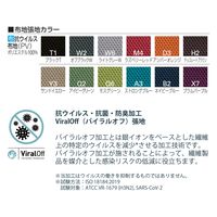 【組立設置込】イトーキ ボニートチェア 布地張り 背裏 樹脂タイプ 肘なし サンドイエロー KT-170PV-W9Y3 1脚（直送品）