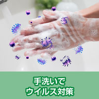 Nスター 薬用ハンドウォッシュVA 5kg 1個 【泡タイプ】 ニイタカ