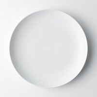 無印良品 白磁皿 特大 約直径26×高さ3.5cm 良品計画