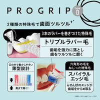 プログリップハブラシ typeII 歯面ツルツル ふつう 1本 エビス 歯ブラシ