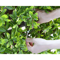 【グリーンフェンス】 山善（YAMAZEN） リーフデコレーション エクスパンド LG色 EX-90180LG 1個