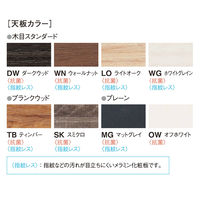 【軒先渡し】ニシキ工業 会議テーブル 幅1800×奥行900×高さ1000mm ライトオーク ABX-1890H-LO 1台（直送品）