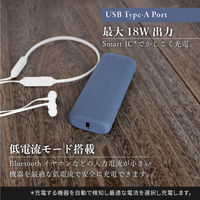 OWLTECH ノートPC充電可能PD60W 20000mAhモバイルバッテリー ブラック OWL-LPB20015-RBK 1個