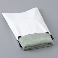 【宅配袋】アスクル 現場のチカラ ビニール宅配袋 白 大サイズ 封かんシール・開封ミシン目付 1パック（10枚入） オリジナル