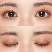 ちふれ化粧品 グラデーション アイシャドウ 76レッドブラウン アイカラー アイシャドー