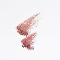 ちふれ化粧品 ツインカラーアイシャドウ75 アイカラー アイシャドー