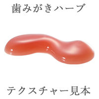WELEDA（ヴェレダ） 歯みがき ハーブ 75ml 1本