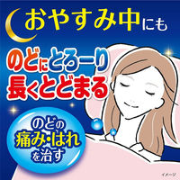 のどぬ～るスプレーナイテクト 15ml 小林製薬【第3類医薬品】