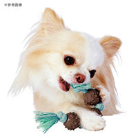 ペティオ 犬用おもちゃ エシカルドア ナチュラルアーストイ ボール&ロープ 271543 1個（直送品）