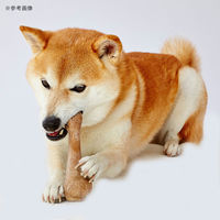 ペティオ 犬用おもちゃ エシカルドア ウッディチューイングトイ ボーンM 271548 1個（直送品）