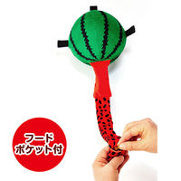 ペティオ 犬用おもちゃ びよ~ん!フルーツ スイカ 271590 1個（直送品）