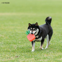 ラガー ROSEWOOD バイオセーフ スマートトイ パインアップル 284635 1個（直送品）