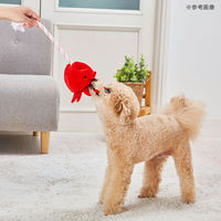 ペティオ　アドメイト スタディロープトイ　たこ 292208 1個（直送品）