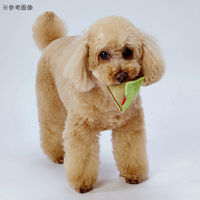 ペティオ 犬用おもちゃ へちまレザー デンタルTOY ピラミッド 262106 1個（直送品）