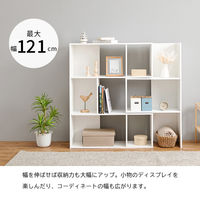 【軒先渡し】萩原 スライドラック 幅920×奥行315×高さ1140mm ブラウン RCC-1117BR 1台（直送品）