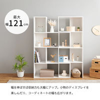 【軒先渡し】萩原 スライドラック 幅920×奥行315×高さ1520mm ブラウン RCC-1118BR 1台（直送品）