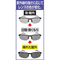 ファミリー・ライフ 調光・偏光ファッショングラス a29987 1個