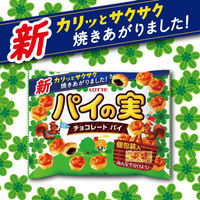 チョコレート菓子 パイの実　シェアパック　124g 1セット（1個×6）