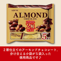 チョコレート菓子 アーモンドチョコレート　シェアパック　97g 1セット（1個×6）
