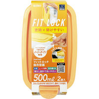 エビス パックスタッフ フィットロック 500ml 4901221530801 1セット(2個入×24点セット)（直送品）