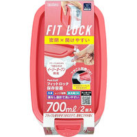 エビス パックスタッフ フィットロック 700ml 4901221530900 1セット(2個入×24点セット)（直送品）