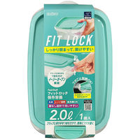 エビス パックスタッフ フィットロック 2.0L 4901221531204 1個×24点セット（直送品）