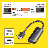 サンワサプライ HDMI-Type-C(DP Altモード)変換アダプタ(4K/60Hz) AD-HD26TC 1個