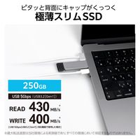 外付けSSD/ポータブル/USB3.2(Gen1)/スリム型/Type-A/250GB/ブラック LMD-ELSPL025U3 1個