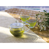 HARIO （ハリオ） 茶茶急須 丸 300ml CHJMN-30T 5個