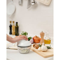 貝印 NEW スピーディみじん切り DA5032 5個