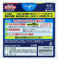 【入れ歯洗浄剤】 除菌ができるタフデント 48錠入 小林製薬 入れ歯洗浄剤 ミントの香り 5個