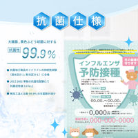 アスカ ラミネートフィルム 抗菌タイプ A4 F4008 1箱(100枚入)